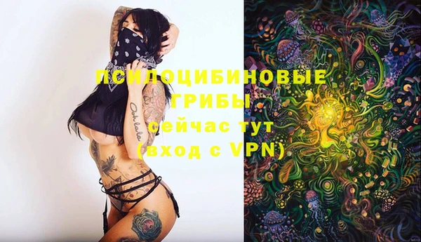 кокс Алексеевка