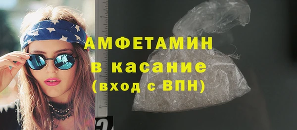 индика Алзамай