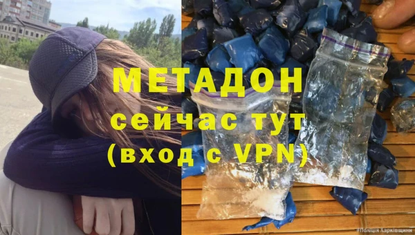 индика Алзамай