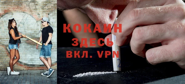 индика Алзамай