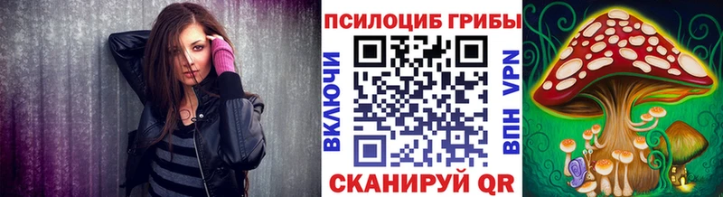 наркота  Ковылкино  Псилоцибиновые грибы Psilocybine cubensis 